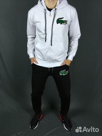 Cпортивный Костюм Lacoste