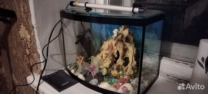 Аквариум
