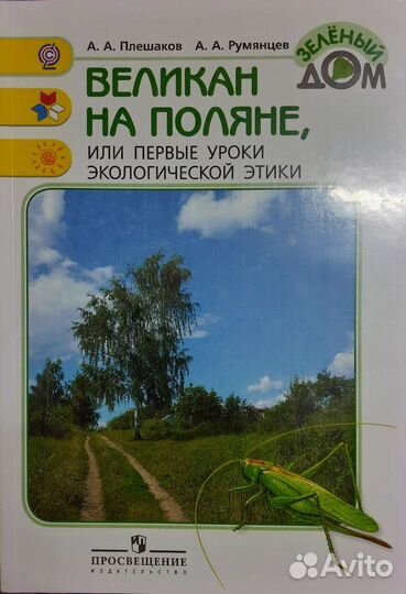 Великан на поляне Плешаков, Румянцев