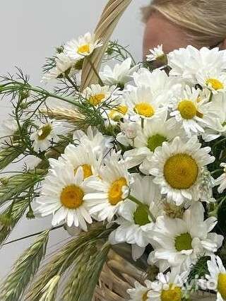 Полевые ромашки