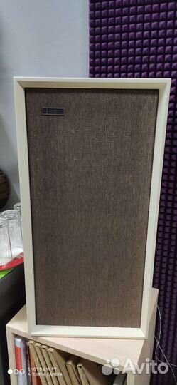 Аккустика. scott