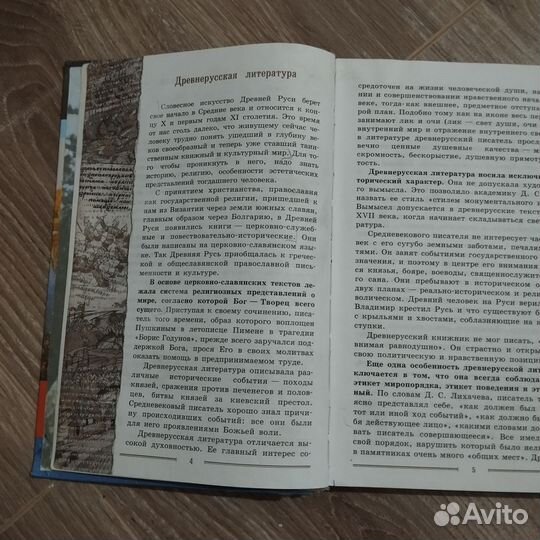 Литература 9 класс