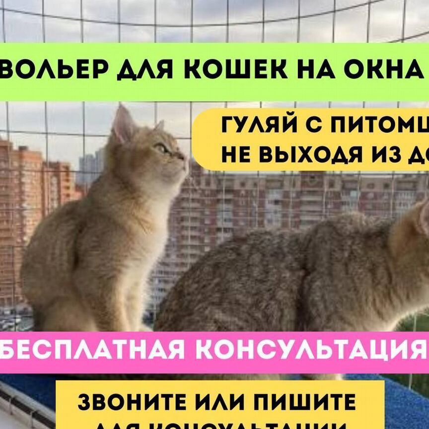 Балкончик для выгула кошки