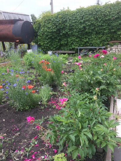 Дача 40 м² на участке 6 сот.