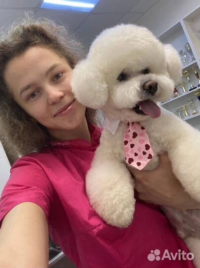 Стрижка собак и кошек / груминг салон Умка