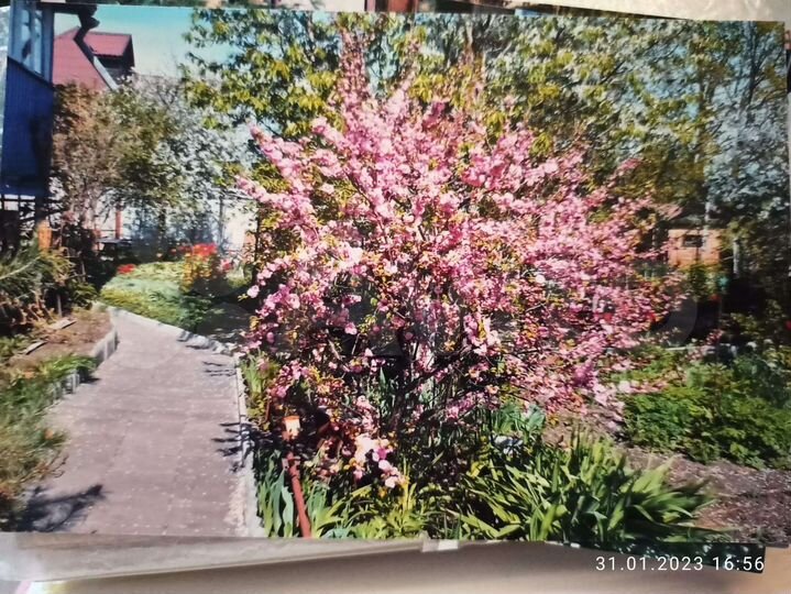 Участок 6,3 сот. (СНТ, ДНП)