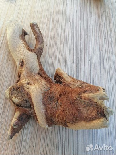 Коряги дрифтвуд для коллажей и флористики