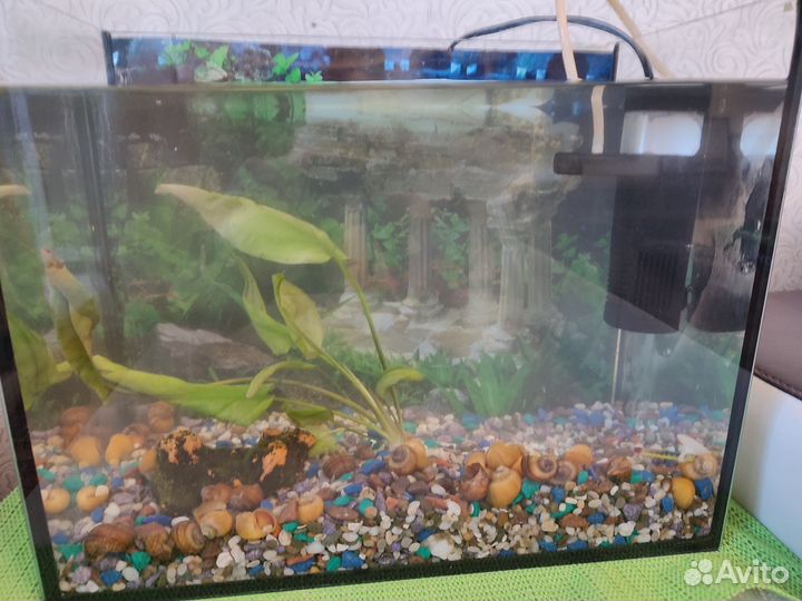 Аквариум 15 л. со всем необходимым