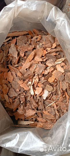 Алтайская кора сосны в наличии