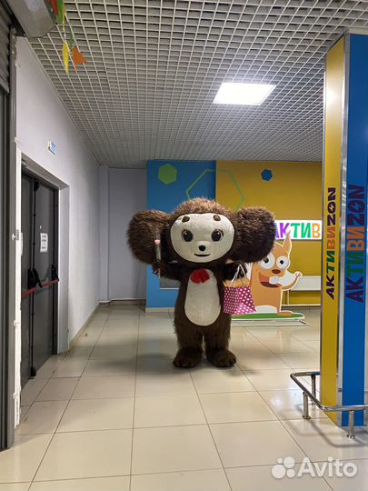 Поздравление от Чебурашки