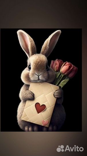 Центрифуга для отжима белья