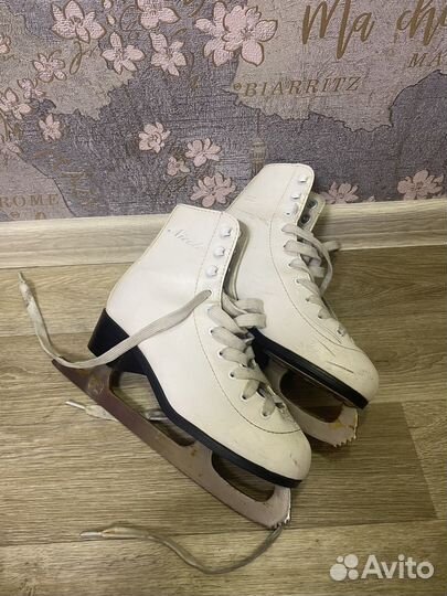 Коньки фигурные детские Nordway Nicole