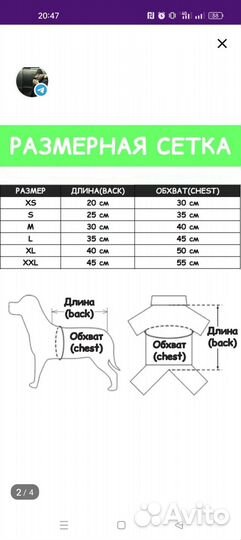 Одежда для маленьких собак