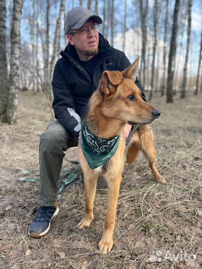 Очень ласковый обнимательный парень ищет семью