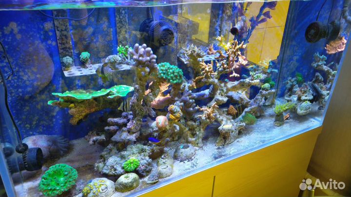 Биокерамика, лампы Т5, мини светильник для моря