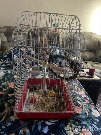 Клетка большая для попугая