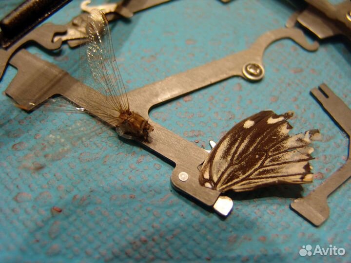 Паук каракурт, стимпанк