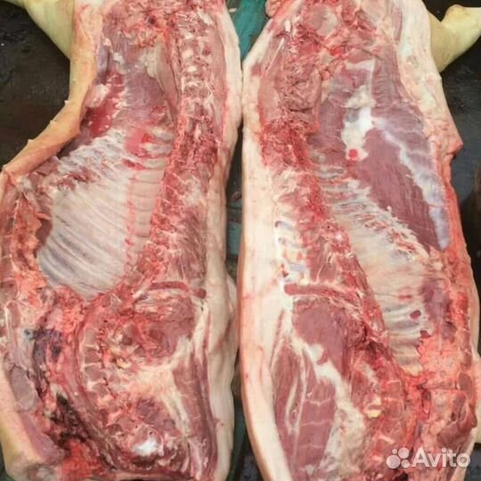 Продажа домашней свинины