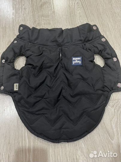 Одежда для собак средних пород