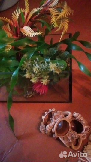 Аквариум со всеми принадлежностями