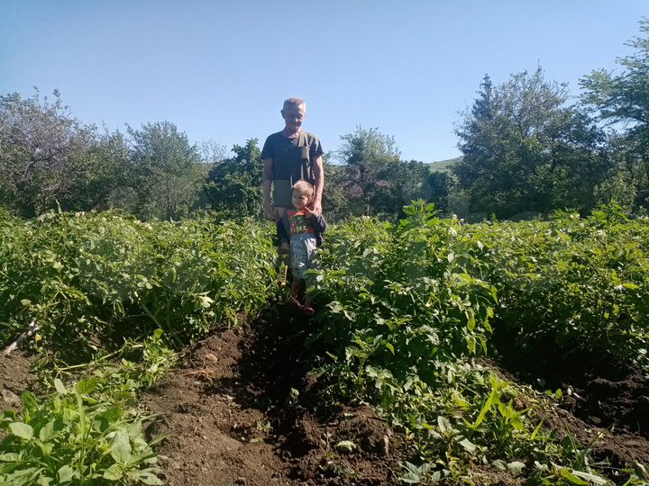 Дом 52,6 м² на участке 33 сот.