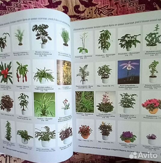 Книги на каждый день