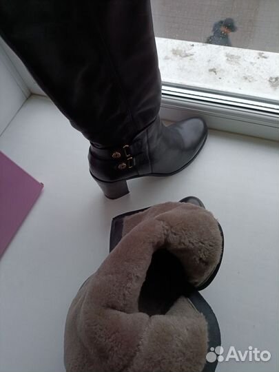 Сапоги зимние Carlo Pazolini 39 размер