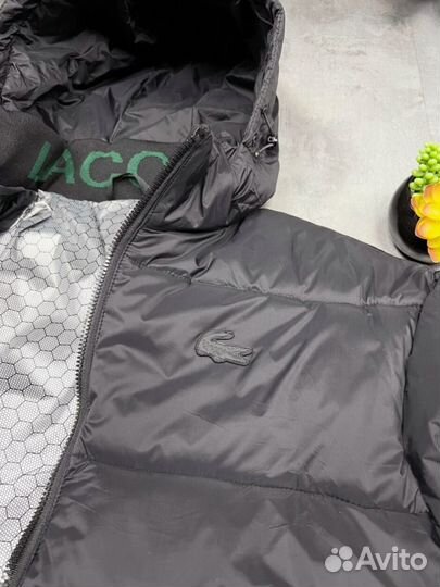 Куртки Lacoste на зиму
