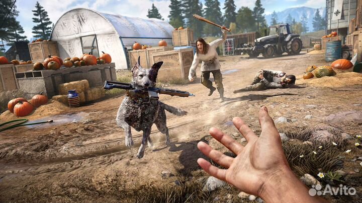 FAR CRY 5 PS4 PS5 ru