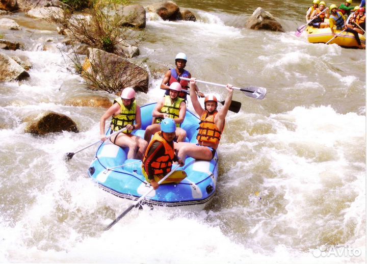 Друг-путешественник на час