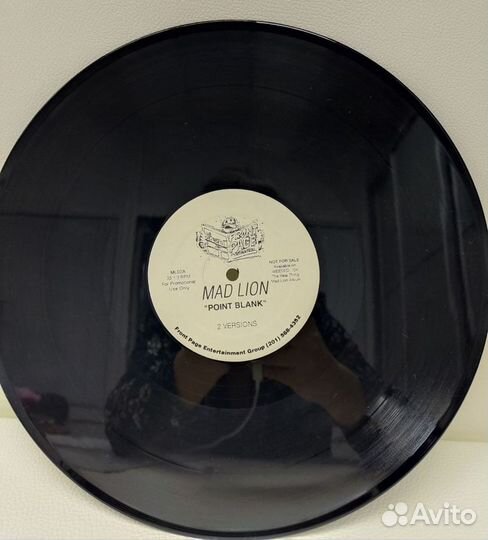 Hip Hop: Mad Lion - Point Blank LP 95 US