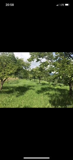 Участок 12,8 сот. (ИЖС)