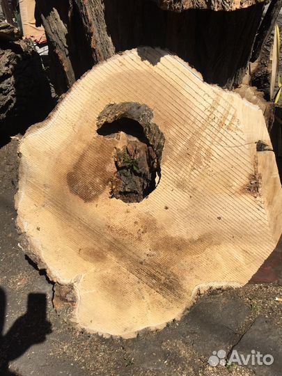 Слэб лофт свайс спил клен сухой