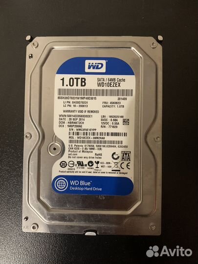 WD blue 1tb