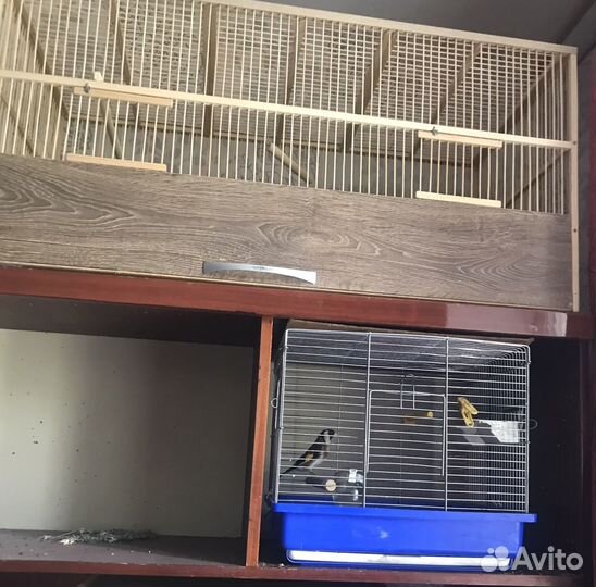 Клетки для птиц