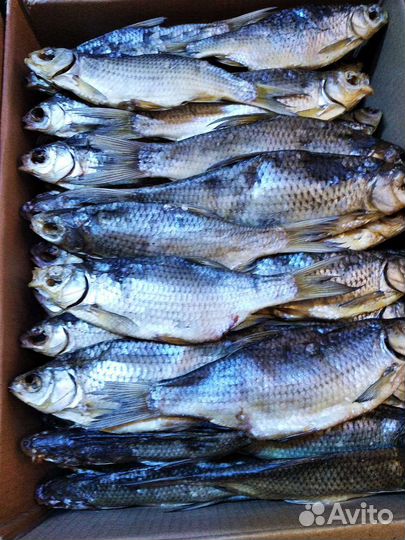 Астраханская вобла