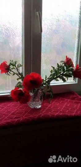 Искусственные цветы маки