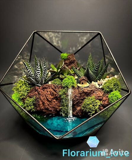 Флорариум с деревьями и суккулентами