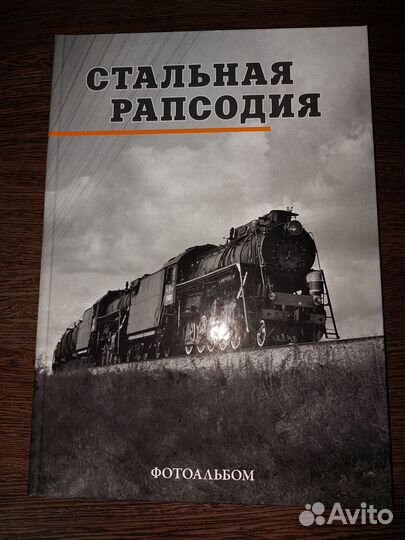 Книга Стальная рапсодия