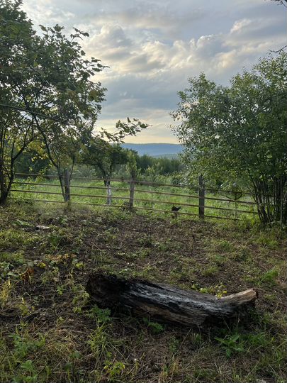 Участок 12 сот. (ИЖС)