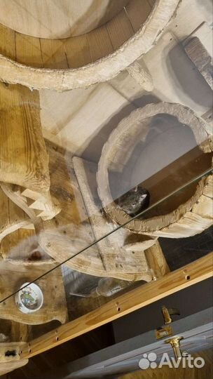 Витрина для грызунов