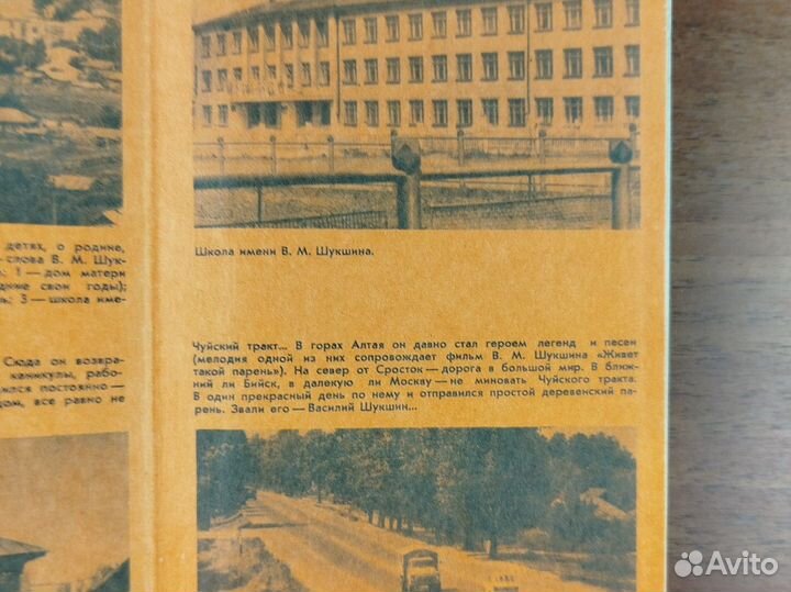 Василий Шукшин. Наказ. Рассказы. 1980г