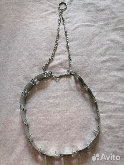 Ошейник для собак строгий