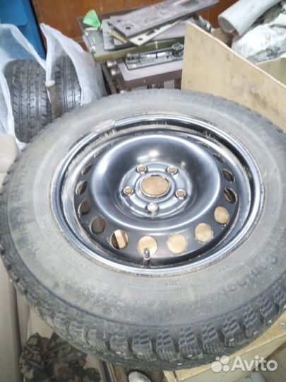 Continental Contact Star 195/65 R15 20G