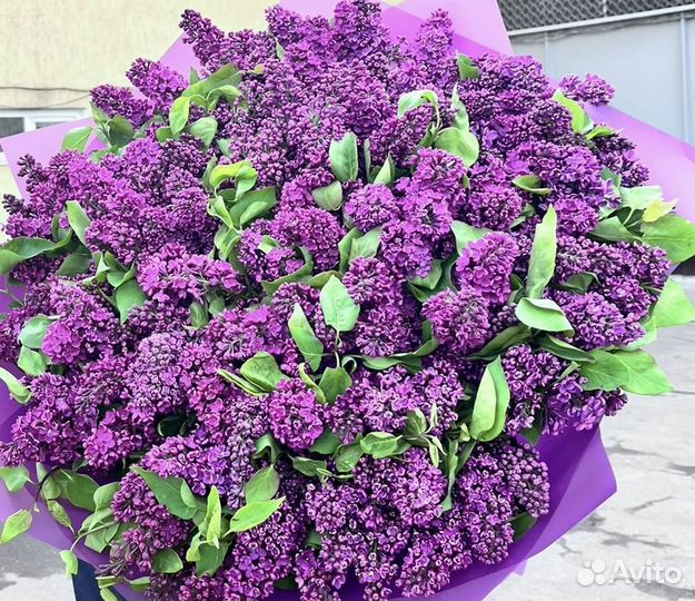 Сирень Букет из сирени