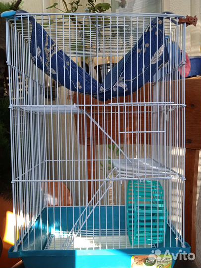 Большая клетка для грызуна