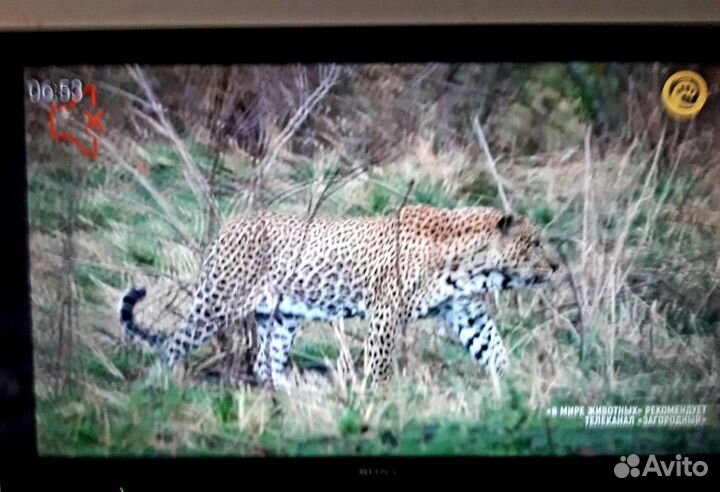 Цветной Ж/К телевизор
