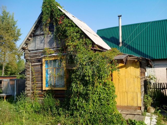 СНТ Елисеева Курган. Вороновка Курган Урожайная. Авито Курган. СНТ Исток Курган на авито. Объявления курган купить дачу