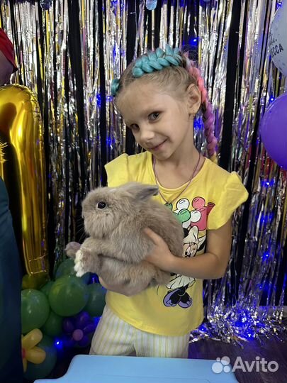 Студия на детские праздники