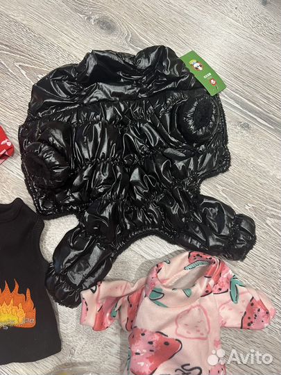 Одежда для маленькой собачки